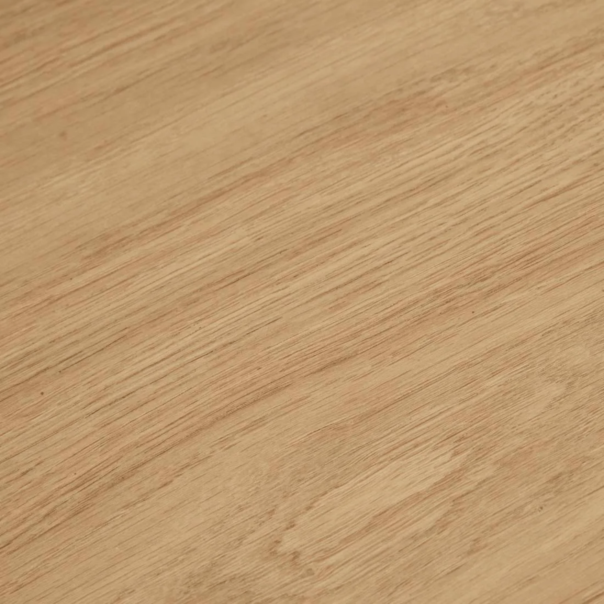 Seb Side Table GlobeWest Seb Pedestal Side Table Oak Perth Stockist + Australia-Wide ...
