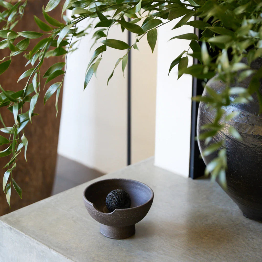 Studio McKenna Diffuser surrounded by green plants.